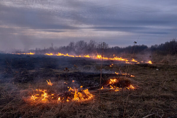 Take Action to Address Wildfire Risks and Impacts on Insurance image